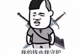 丰城融资清欠服务